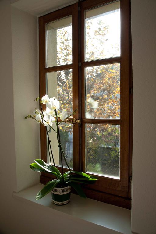 Apartamento Charming Ginebra Exterior foto